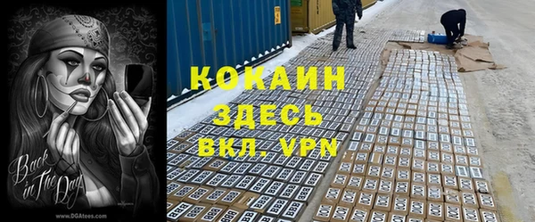 apvp Алзамай