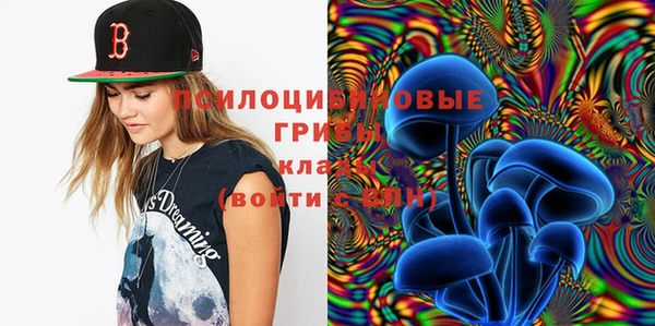 apvp Алзамай