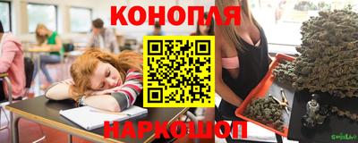 прущие грибы Гудермес