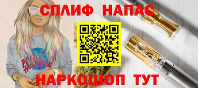 прущие грибы Гудермес