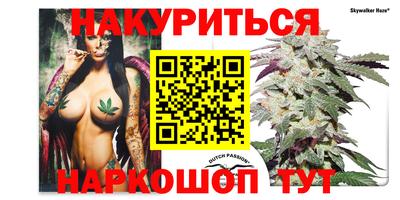 a pvp Вязьма