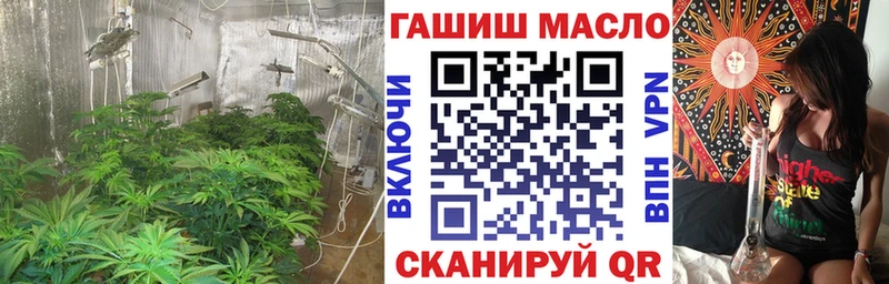 где купить наркоту  Махачкала  Дистиллят ТГК жижа 