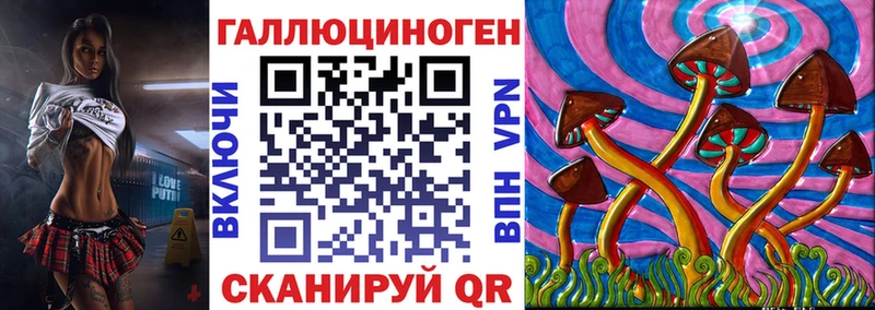 Псилоцибиновые грибы Psilocybe  как найти   Махачкала 