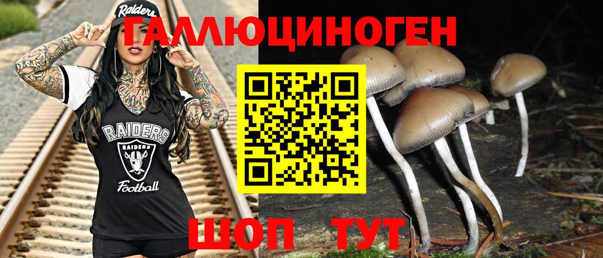 Махачкала  закладка  Вход с VPN  Галлюциногенные грибы прущие грибы 